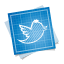 twitter-icon